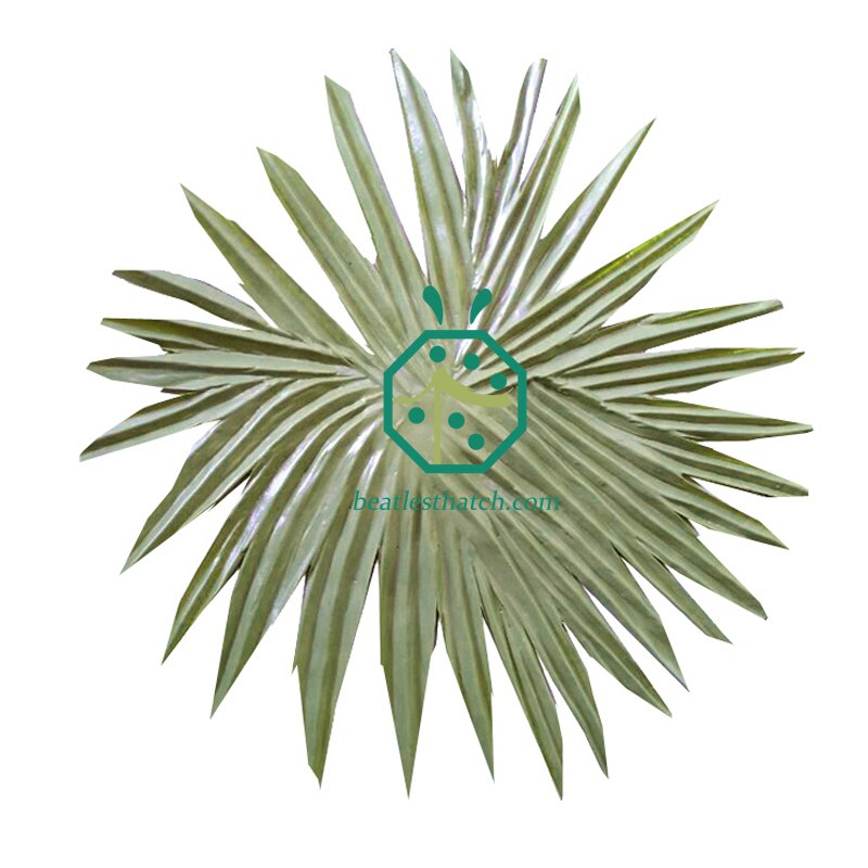 Top cap thatch of bora bora palm roof system