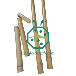 Palsu Bambu Untuk Luar Pagar Taman