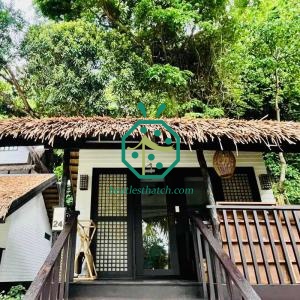 Philippines Nipa Palm Thatch Roofing