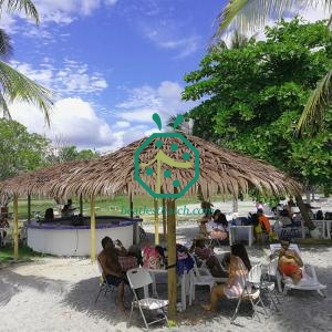 UV Proof Artificial Thatch Roof Solutions Costa Rica
