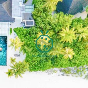 Penyelenggaraan Bumbung Jerami Buatan Berwajah Moden Untuk Ladang
