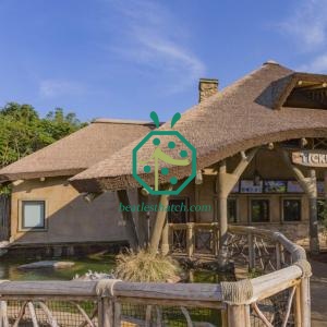 Synthetic reed thatch roof Chile