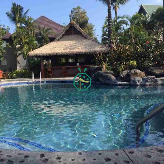 Tropical Artificial Palapa Thatch Roof For Sale