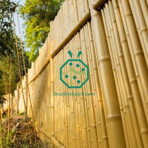Buy plastic bamboo sticks
