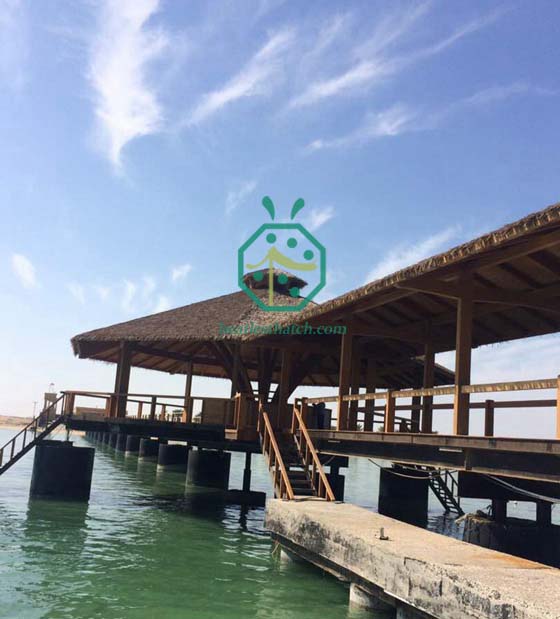 qatar projek bumbung thatched untuk taman tepi laut