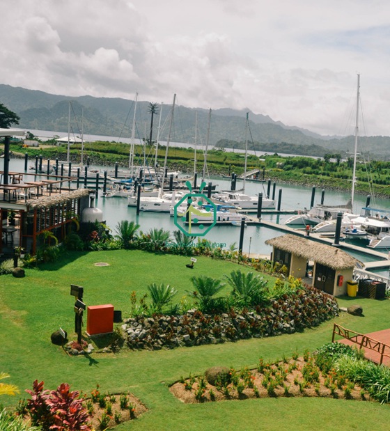 Bumbung Jerami Fiber Palm untuk Hiasan Rumah Fiji Bure