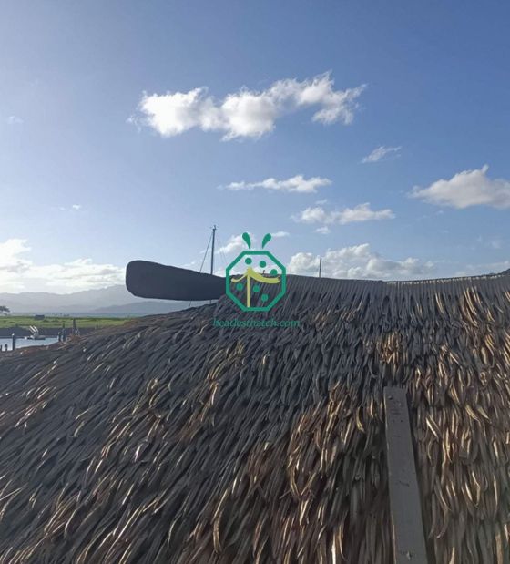 Fiji Real Estate Hiasan Bumbung Jerami Pokok Palma