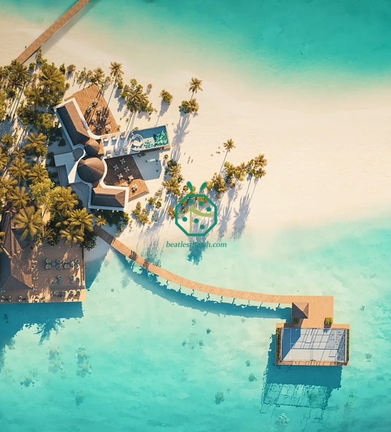 Hiasan Bumbung Jerami Cadjan Tiruan untuk Astaka Ketibaan di Maldives