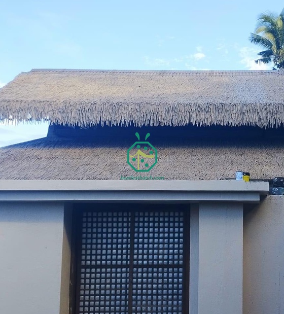Bumbung Jerami Cogon Sintetik untuk Pondok Nipa Filipina