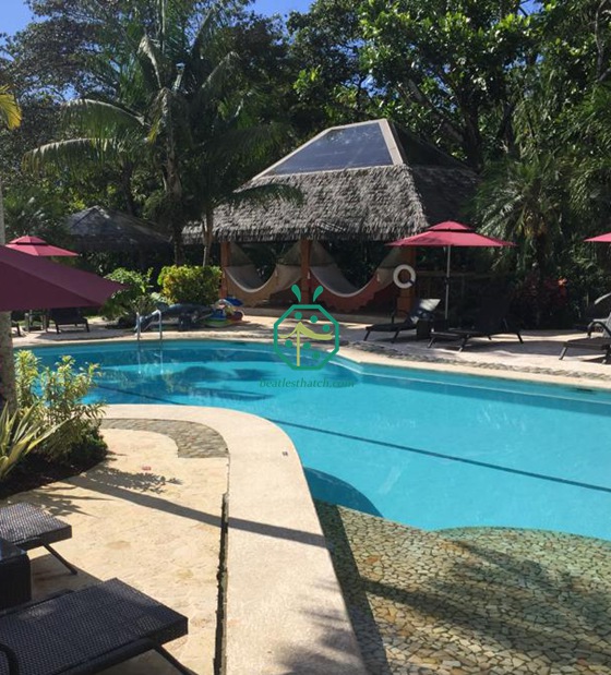 costa rica pondok sintetik thatched roof di hutan hujan