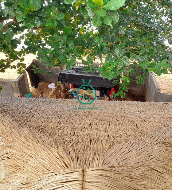 Bangunan Bumbung Jerami Nipa Sintetik Cebu