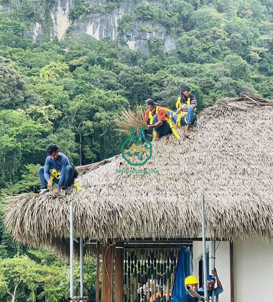 Filipina Pembinaan Bumbung Jerami Pondok Nipa Kalis Api