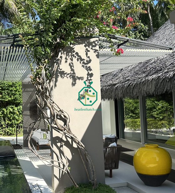 Bumbung Jerami Plastik Cadjan Taman Maldives
